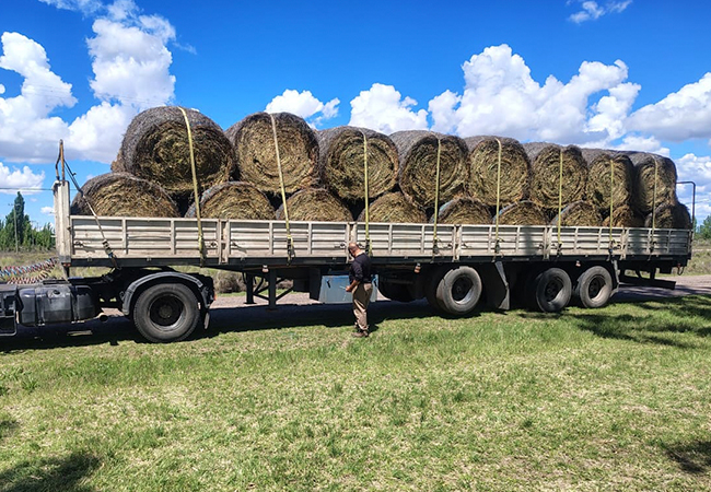 El Gobierno de Mendoza asiste a productores ganaderos afectados por las contingencias climáticas en el Valle de Uco y el Sur provincial