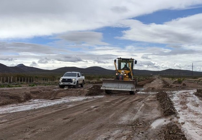 Vialidad Mendoza avanza en la recuperación de las rutas del secano de Malargüe